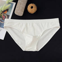 1Pcs Men Underwear Briefs Cotton Qucik-Dry Sexy Men Briefs Breathable Mens Slip Cueca Male Panties Underpants Briefs 2024 - buy cheap