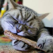 15/20pcs Natural Catnip Pet Cat Toy Molar Toothpaste Branch Cleaning Teeth Cat Snacks Sticks 2024 - buy cheap