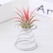 Soporte de mesa de alambre de resorte de planta de aire, decoraciones de jardinería en miniatura, Tillandsia 2024 - compra barato