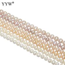 Cuentas sueltas de perlas de agua dulce, Blanco/Beige/albaricoque, Irregular, 6-7mm, para joyería DIY, perlas naturales de patatas cultivadas 2024 - compra barato
