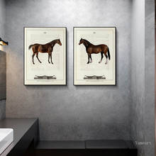 Cuadro decorativo de Animal caballo marrón clásico para pared, Impresión de póster en lienzo, pintura minimalista, decoración de sala de estar familiar 2024 - compra barato