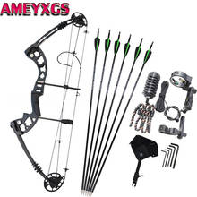 Archery Compound Bow Arrow Sets 30-55lbs Adjustable Hunting Bow With SP 500 Carbon Arrows Right Hand Adult Bow Hunting Shooting 2024 - buy cheap