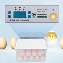 Автоматический инкубатор для яиц, Брудер для кур, перепелов, гусей, уток, голубей, гусей, 16 инкубаторов 2024 - купить недорого