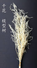 white Scene architectural model sand vegetation thorns quinoa military scene DIY production materials 2024 - buy cheap