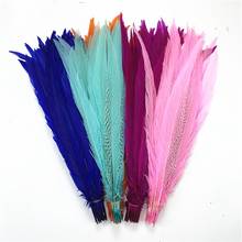 50Pcs/Lot Silver Pheasant Tail Feathers for Clothes 30-80cm Lady Amherst Pheasant Feathers Plume Decoration Feather Decor DIY 2024 - buy cheap