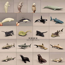 Modelo animal marinho, estampa de leão, morango, baleia, tubarão, cacatueta, brinquedos de figuras de ação 2024 - compre barato