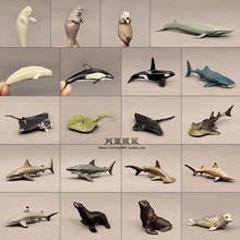 Marine Animal Model Sea Lion Walrus Jaws Sperm Whale Shark Dolphin Manta Rays Oceans World DIY Mini Figurine Action Figures Toys 2024 - buy cheap