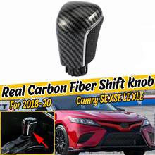 Top!-Carbon Fiber Gear Shift Knob Ball Shift Head for Corolla Levin Camry XV70 V70 Avalon 2018 2019 2020 2024 - buy cheap