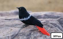 Modelo de pássaro preto de simulação, boneco de pássaro vermelho de espuma e pelúcias, vida real, presente de cerca de 13cm xf2509 2024 - compre barato