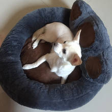 Inverno quente filhote de cachorro cão gato sofá cama canil urso pata pet camas para cães pequenos gatos acessórios mametas suprimentos legowisko dla psa 2024 - compre barato