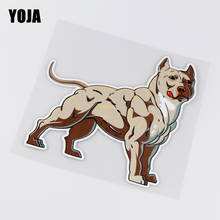 YOJA 15.8X15.8CM Interesting Vinyl Car Sticker Decal American Pit Bull Terrier Dog  ZT3-0061 2024 - buy cheap