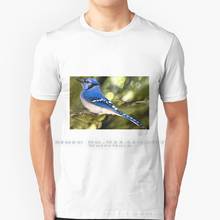 Футболка Blue Jay On Alert, 100% чистый хлопок, птица голубая Джей боке, дерево Джей, белая, крупный план, природа, дикая природа, конечности, Америка, удилище 2024 - купить недорого
