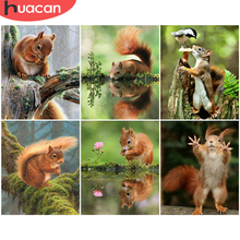 HUACAN Pictures By Number Squirrel Kits DIY Painting By Numbers Animal Drawing On Canvas Hand Painted Paintings Art Home Decor 2024 - buy cheap