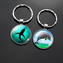 Sea Animals Key Chains Dolphin Shark Glass Cabochon Keychain Tortoise Keyring Starfish Pendant Trinket 2024 - buy cheap