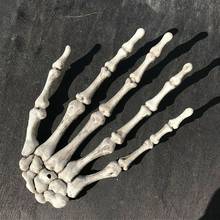 Esqueleto de caveira para as mãos, modelo anatômico do osso humano, de halloween, 1 peça 2024 - compre barato