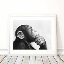 Monkey Black and White Photo Canvas Poster Print Home Wall Art Painting Nordic Animals Picture For Living Room Decoration 2024 - buy cheap