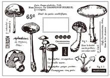 Mushroom-Kit de accesorios para álbum de recortes, suministros de decoración para manualidades, A0011 2024 - compra barato