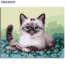 DRAWJOY Cat Framed Pictures DIY Oil Painting By Numbers Painting&Calligraphy Home Decoration Wall Art 40*50cm 2024 - buy cheap