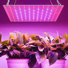 Lâmpada de led de 3000w para cultivo de plantas indoor, luz de led para cultivo de plantas hidropônicas, vegetais, frutas e flores 2024 - compre barato