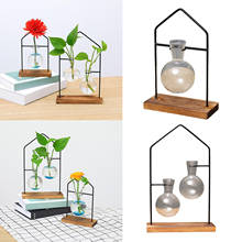 Florero de vidrio hidropónico, terrario, plantador, florero de bombilla, maceta de difusión de plantación de agua 2024 - compra barato
