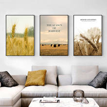 Fancy Golden wheat fields Harvest scene letter modern decorative Picture Canvas Wall Art Poster for room Restaurant office decor 2024 - buy cheap