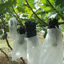 50 шт., сетчатые пакеты для защиты от комаров и фруктов винограда 2024 - купить недорого