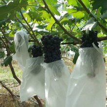 Rede de cordão anti pássaros 50 peças, previne utensílios de controle de pragas vegetais frutas saco de proteção 2024 - compre barato