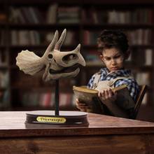 Chico, excavación simulada, cabeza de dinosaurio, Calavera, modelo de escritorio, juguete de ornamento, regalo 2024 - compra barato