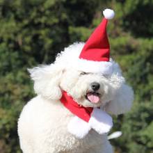 Apuramento animal de estimação natal cosplay engraçado traje cone vermelho chapéu e cachecol vermelho conjunto para cães gatos 2024 - compre barato