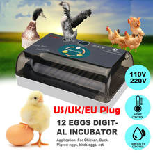 High Quality 12 Eggs Incubator LED Fully Automatic Turning Chicken Poultry Egg Ducks Hatcher Automatic Incubators EU UK US 2024 - buy cheap