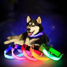 Светодиодный ошейник для питомцев, собачий ночник, светится в темноте, ошейник для собак, светящийся светильник, ошейники для домашних животных 2024 - купить недорого