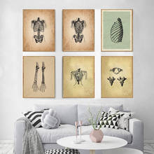 Human Anatomy Science Vintage Posters Art Prints Medical Anatomy Nordic Canvas Painting Wall Picture Medical Doctor Clinic Decor 2024 - buy cheap