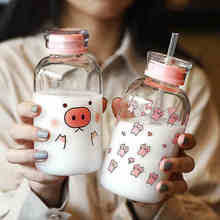 Cute Glass Water Bottle With Tea Infuser Filter Straw Kawaii Portable Juice  Cold Drink