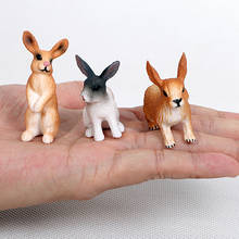 Simulation Small Rabbit animal models toys figurine with Different Forms,plastic Decoration educational toy Gift For Kids 2024 - buy cheap