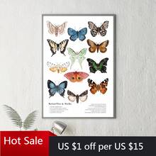 Butterflies And Moths Prints Insect Nature Art Canvas Painting Wall Decor Picture Educational Poster Kindergarten Room Decor 2024 - buy cheap