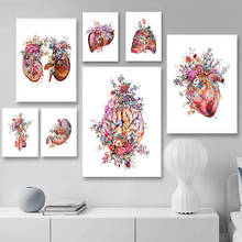 5D DIY Diamond Painting Anatomy Medical Diamond Mosaic Floral Organs Heart Lung Education Hospital Embroidery Cross Stitch Decor 2024 - buy cheap