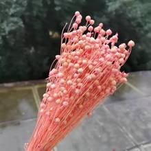 40g/40cm,Natural Dried jumble-beads Flower bunch,Eternal display real plant for Wedding Party home Decoration accessories 2024 - buy cheap