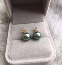 Free Shipping   Genuine 9mm Real South Sea gray Pearl Earrings 14K/20 Solid Yellow Gold 2024 - buy cheap