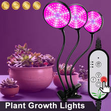 Lámpara LED para cultivo de Plantas, Fitolamp USB de espectro completo, Fitolamp para cultivo de Plantas, caja de tienda de flores 2024 - compra barato