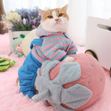Hoopet-casaco de algodão com capuz para animal de estimação, roupa para pet, gato, cachorro, pequeno, outono, inverno, roupas 2024 - compre barato