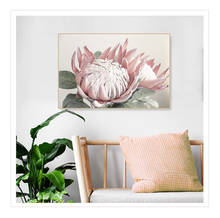 Beautiful Protea King Flowers Poster Print Canvas Painting Wall Art Gallery Pictures for Living Room Bedroom Home Decor 2024 - buy cheap