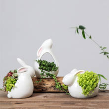 Cartoon Rabbit Flowerpot Succulent Small Ceramic Flower Pot Table ktop Green Planter Small Bonai Pot Home coration 2024 - buy cheap