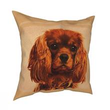 Funda de almohada cuadrada Cavalier King Charles Spaniel, Fundas de cojín divertidas para perros 2024 - compra barato