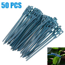 50pcs Adjustable Plastic Plant Cable Ties Reusable Cable Ties for Garden Tree Climbing Support 13.5cm 2024 - buy cheap