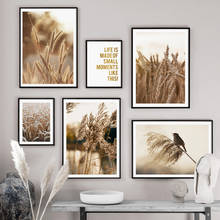 Reed Wheat Bird Quotes Autumn Landscape Wall Art Canvas Painting Nordic Posters And Prints Wall Pictures For Living Room Decor 2024 - buy cheap
