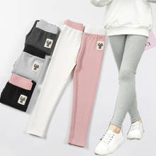 Girls' Leggings 2022 Spring/autumn New Slim Kitten Label Kids Pants Korean Solid Color Skinny Elastic Waist Children's Trousers 2024 - buy cheap