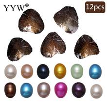 12 unids/lote de perlas de agua dulce con forma de arroz, colores mezclados, 7-8mm, mejillón, regalo sorpresa 2024 - compra barato