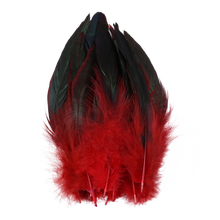 50 Pcs/Lot Rooster Chicken Feathers 15-20CM Decorative for Party Dress Clothes Sewing Handmade Jewelry Accessory Crafts Plume 2024 - buy cheap