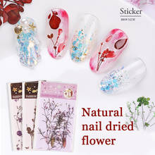 2 Styles Mixed Real Dried Flowers 3D DIY Natural Flower Nail Art Decor For UV Gel Nail Art Tips DIY Tools Women Fashion 2024 - buy cheap