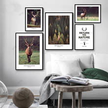 WTQ Canvas Painting Nordic Forest Deer Animal Wall Art Print Nature Landscape Poster Scandinavian Decorative Pictures Home Decor 2024 - buy cheap